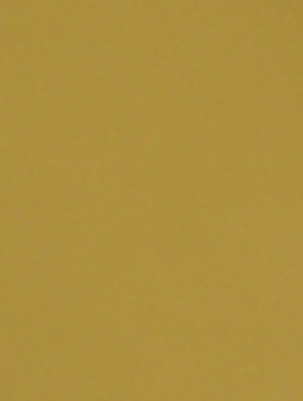 ti gold stainless steel