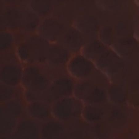 Fine hammered stainless steel sheet in dark coffee brown