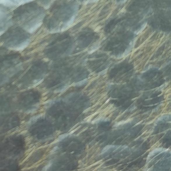 Irregular hammered stainless steel sheet in silver blue with silky sheen
