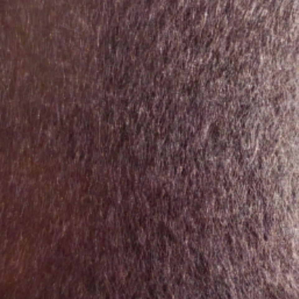 Amber Bronze Vibration Stainless Steel Sheet