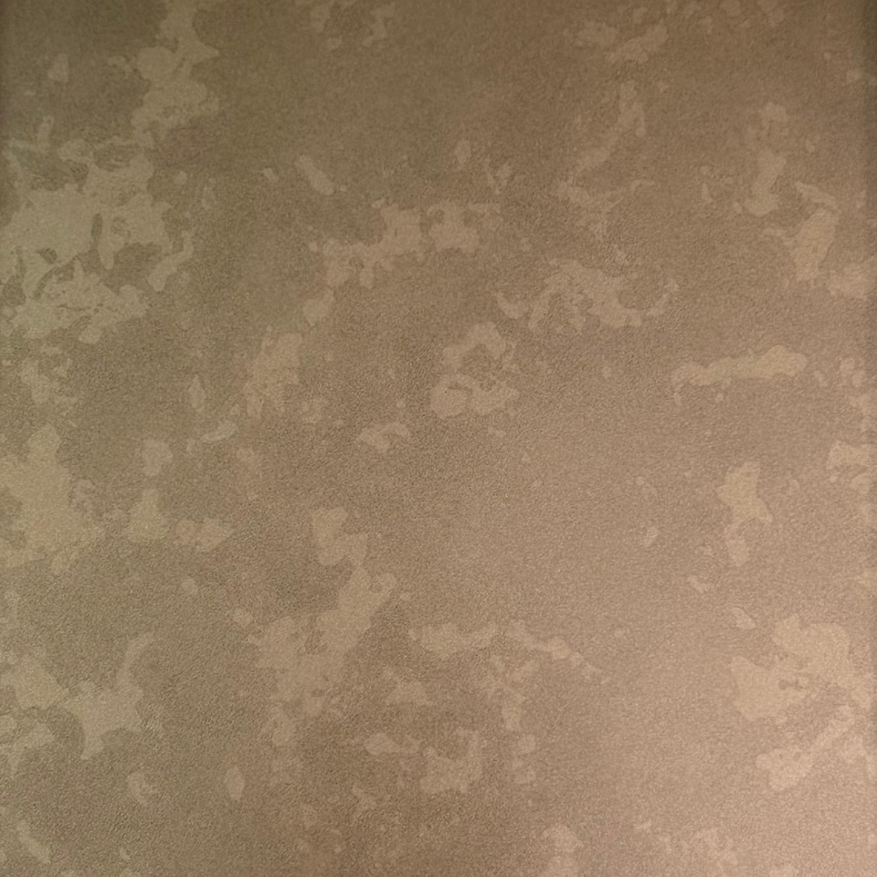 Antique Bronze Stainless Steel Sheet (2)