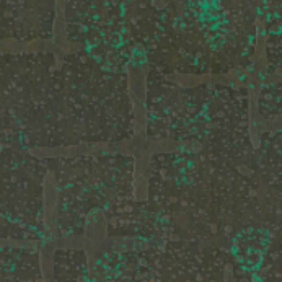 Antique Green Copper Stainless Steel Sheet