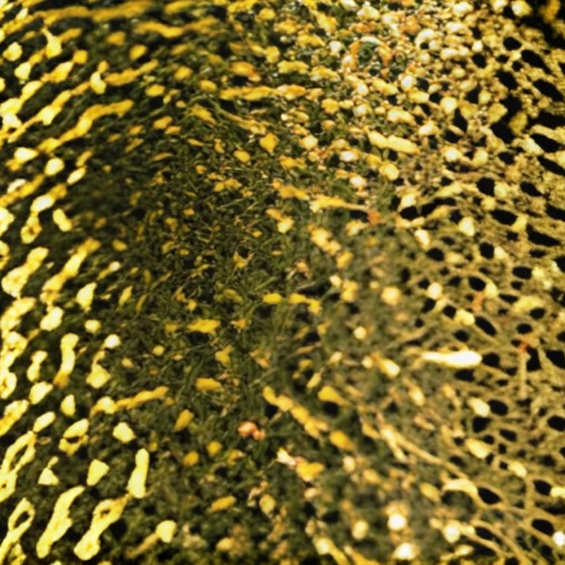 gold random shallow water ripple stainless steel sheet