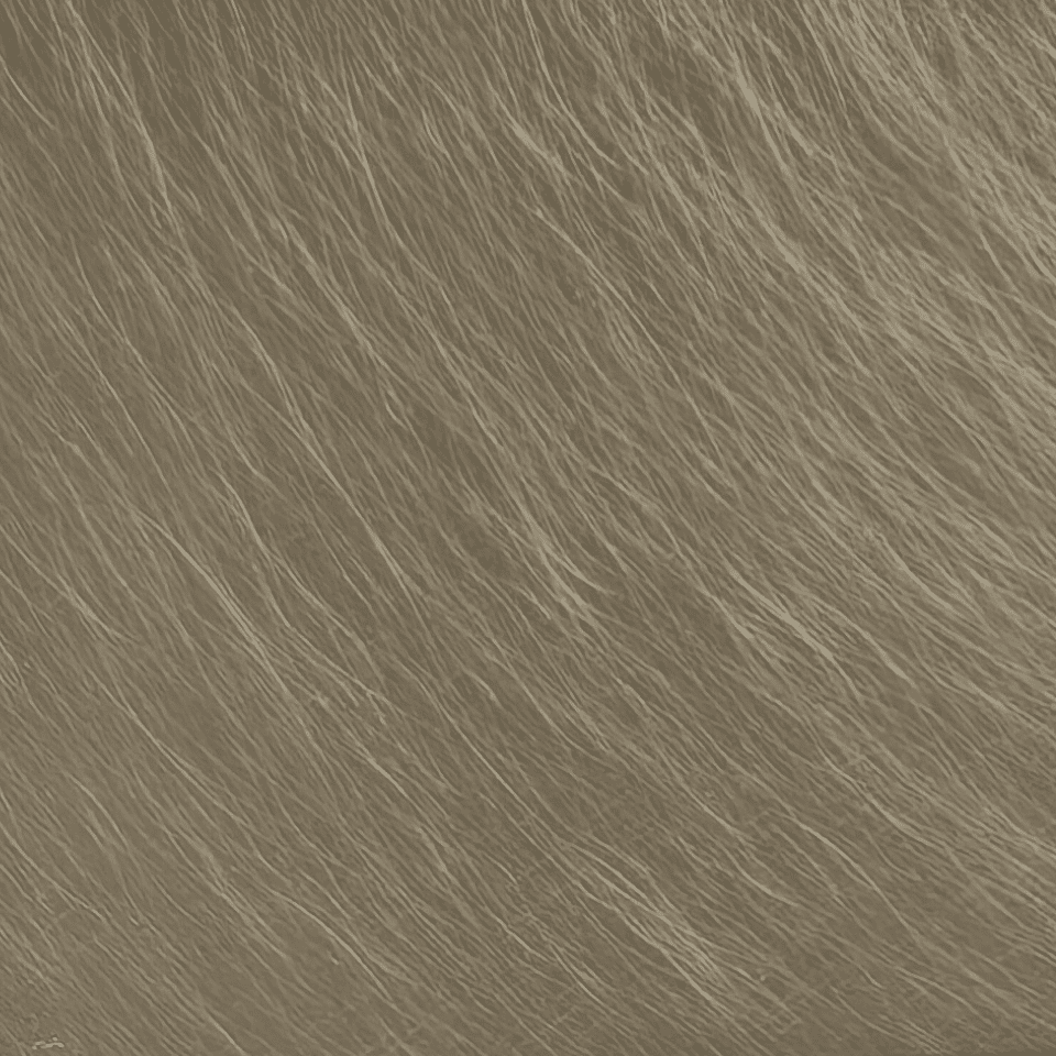 Champange Hairline Stainless Steel